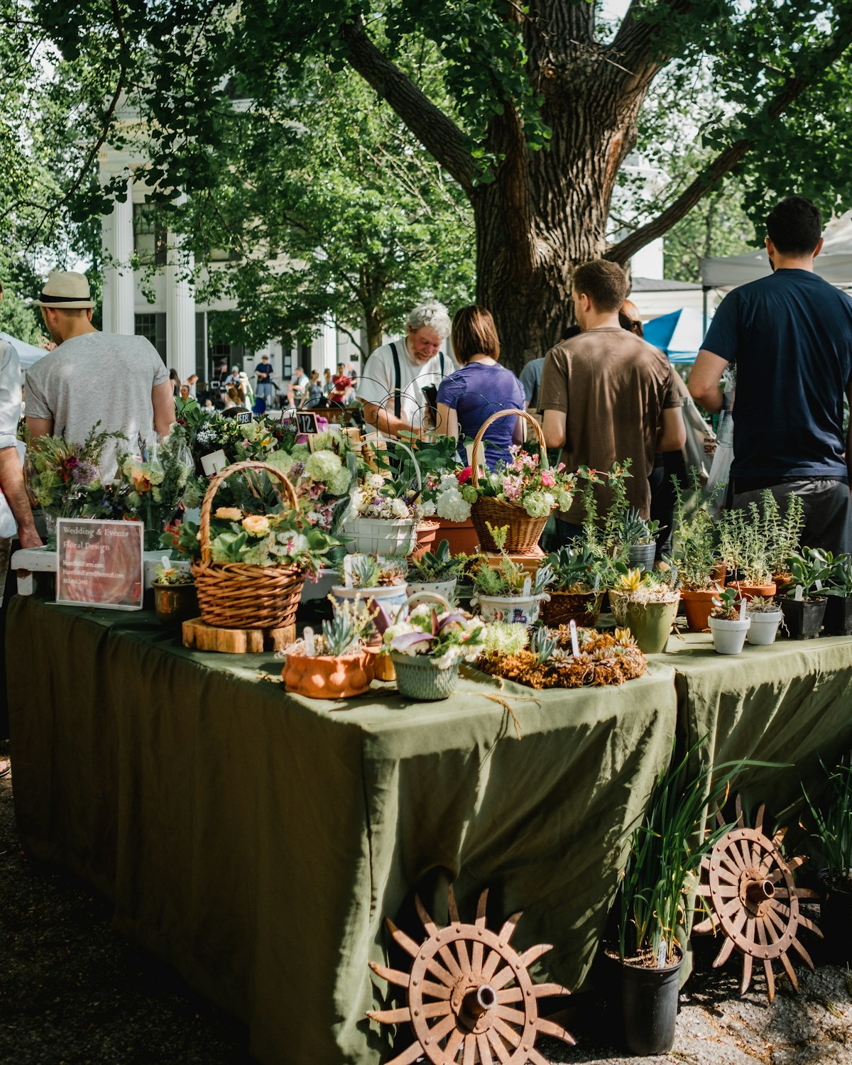 Shoppers browsing a plant stall at an outdoor market